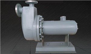 Canned Centrifugal Pump