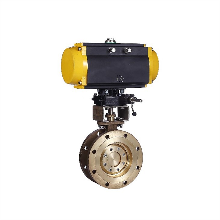 butterfly valve (18)